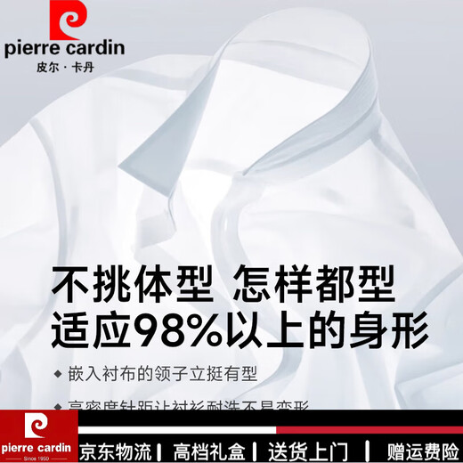 皮尔卡丹（PIERRE CARDIN）高端品牌男士衬衫长袖感免烫商务正装春夏季休闲条纹白衬衣 高端DX6621【现货速发】 38