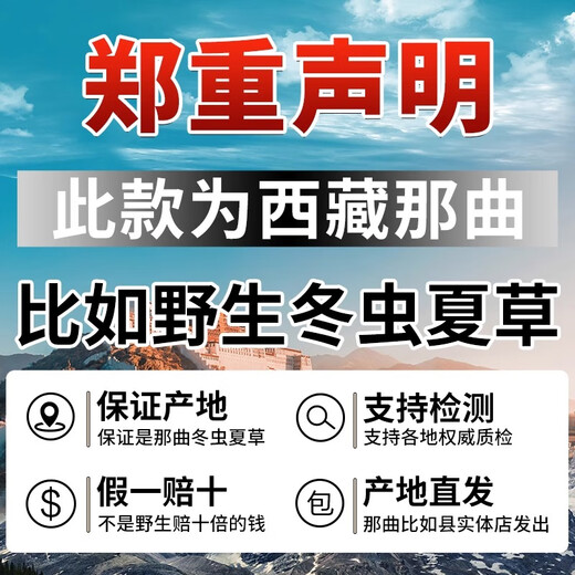 东仔【西藏那曲】野生冬虫夏草高海拔野生虫草断草滋补品礼盒送长辈 【西藏那曲野生】大号断草-全家滋补 5克（礼盒装）