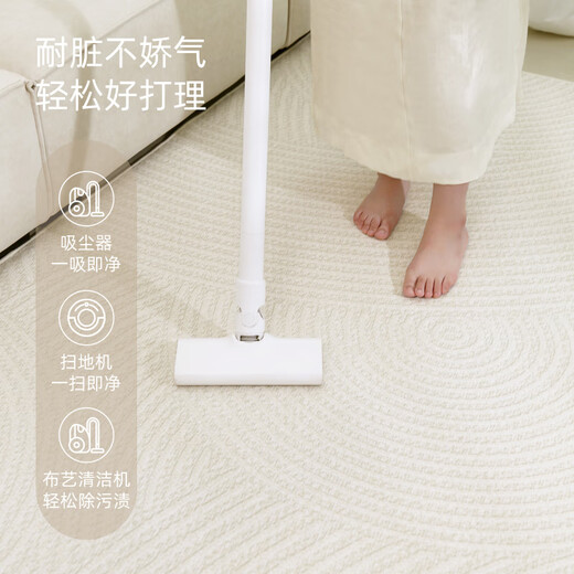 Marca IKEA MISMA ALFOMBATA REABLA DE CAMIO DE CAMINA 2024 Nuevo estilo Free lavable y borrable habitación de la habitación de la habitación del dormitorio Hogar Línea simple-15938 240cm*360 cm Aislamiento de sonido a prueba de humedad personalizado