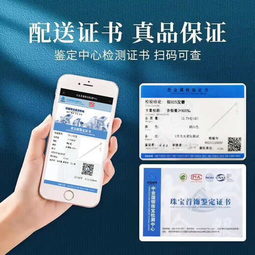 Dingjing S925 silver Hetian jade tassel hairpin step shake ancient style hairpin women's high-end new Chinese style hairpin hairpin headdress