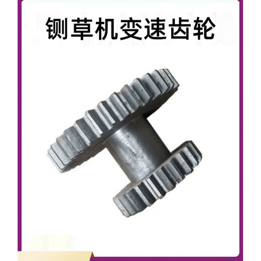 LDVEP铡草机变速齿轮小型变档齿轮配件农机零件变挡轮铸链铁连体齿轮 大齿轮9888