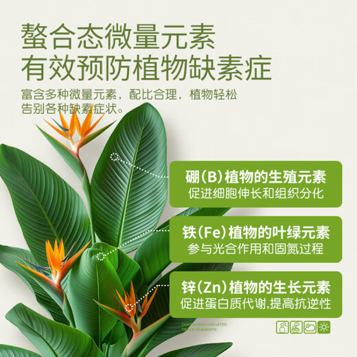 Stanley (STANLEY) high nitrogen, phosphorus and potassium balanced water-soluble fertilizer, compound fertilizer for flowers, 60g, large number of elements, water-soluble fertilizer, universal type, 1 box total