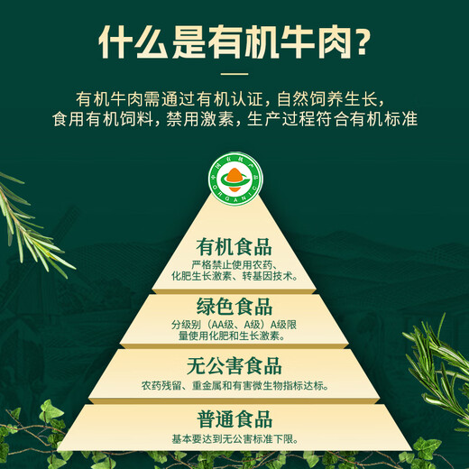 天莱香牛有机健康大块牛腩1斤 可溯源生鲜牛肉低温排酸谷饲清真【真原切】