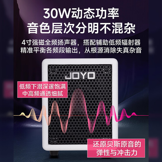 Zhuole Electric Bass Speaker 2025 New BA-30 Portable OTG Live Recording, Playing and Singing Full-range Analog Dynamic Sound BA-30 White + JM60 Metronome + Gift Package