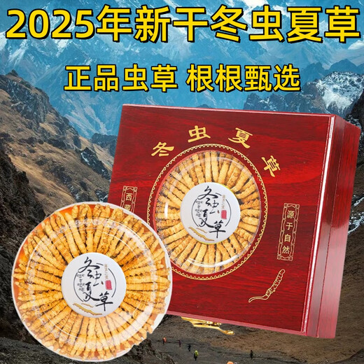 Cordyceps gift box 2025 first stubble new dried cordyceps authentic guaranteed to ship authentic Tibetan cordyceps on the same day. Tibet fine cordyceps 2 pieces 1 gram 30 pieces