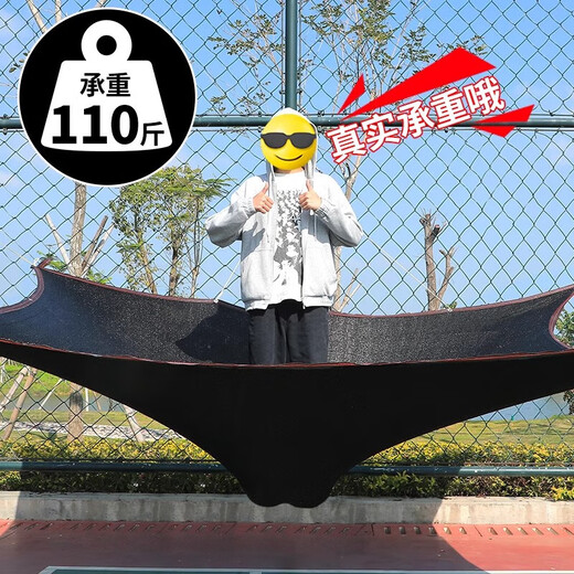 遮阳网加厚加密防晒网黑色遮阴遮光太阳网楼顶阳台庶阳隔热遮阳布 96%遮阳抗紫外线 包边打孔送拉绳 13888针加筋特厚特密【2米X4米】