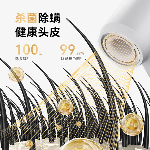 Beijing-made beauty hollow high-speed hair dryer Pro2 gray 1.9 billion plasma hair dryer household mute negative ion high-power hair dryer birthday gift for women