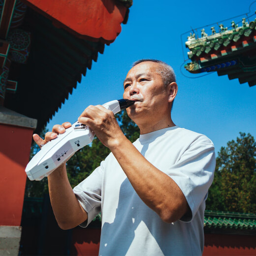 罗兰（Roland）电吹管AE05C自带音源电萨克斯民族音色AE01老年初学入门电子管乐 AE-05C白色