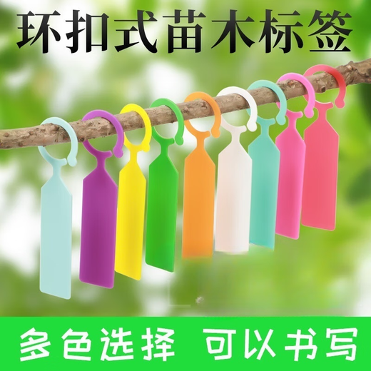 Benxinnong Gardening Label Ring Buckle Thick Plastic Waterproof Seedling Flower Grape Watermelon Fruit Tree Plant Variety Tag Orange (100 photos) Buy 200 and get 100 free