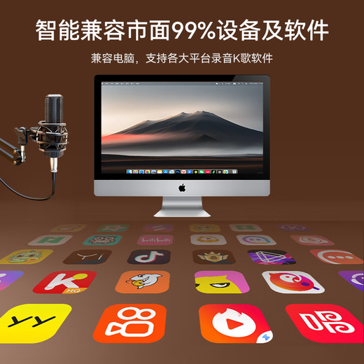 Wise Country Recording Studio Sound Quality Computer Microphone Dynamic Desktop Sound Card Live E-Sports Capacitor Game Mike K Song Radio Anchor Equipment Microphone Desktop Speaker Notebook 3.5