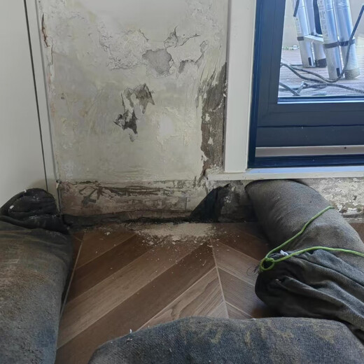 One-click ordering for kitchen and bathroom water accumulation. The professional team arrives quickly and efficiently solves the problem. Warranty-free