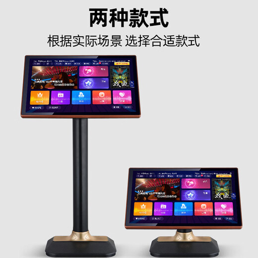Performer karaoke machine home smart voice home karaoke all-in-one machine new high-definition touch screen WiFi network capacitive screen professional singing high-end and sound element connected to TV 16-inch capacitive touch screen 500G - default floor stand when placing an order (please note the desktop stand)
