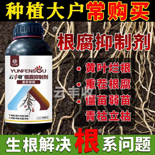 Yunfeng Harvest Root Rot Inhibitor Root Rot Nemesis Yellow Leaf Rot Root Damping-Down Dead Tree Stem Base Rot Strong Root Activation Soil Factory Direct Sales 2 Bottles * 2000g + Measuring Cup + Get 10% off for fake ones