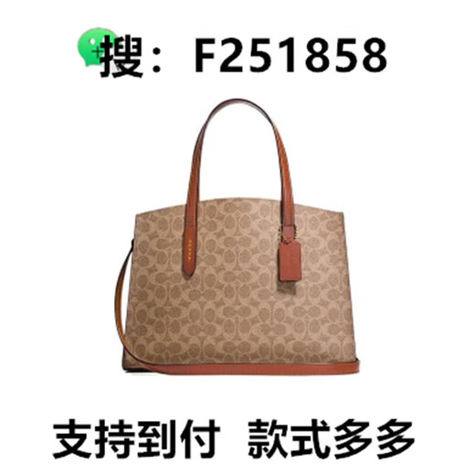抢购 今年包包百搭通用画袋 画包22号便携包手提包零钱包 681*1*1cm