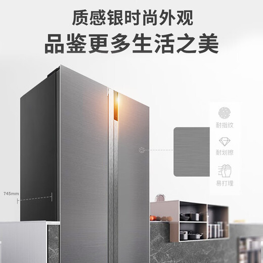 伊莱克斯（Electrolux）电冰箱智能多功能风冷无霜变频家用650升对开门冰箱ESE6629GD 质感银 650L