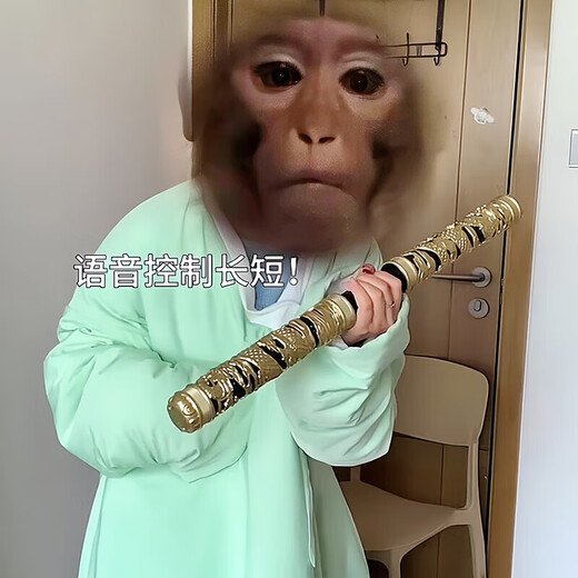 LIVING STONES Ruyi Golden Cudgel Commande vocale rétractable automatique Black Shadow Myth Wukong 3-12 ans Jouet pour enfant garçon cadeau d'anniversaire