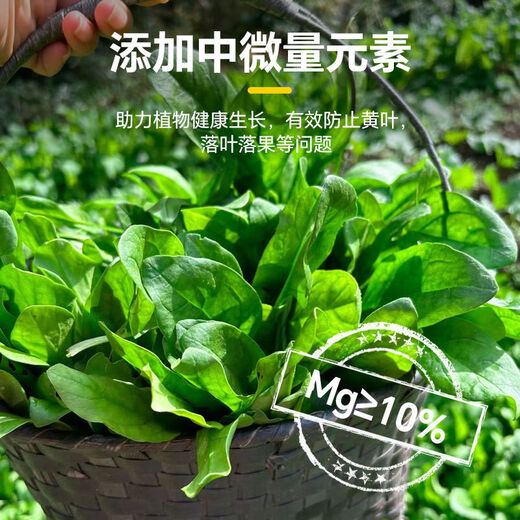 Quick Green 120 Foliar Fertilizer Chlorophyll Genuine Thick Leaf Vegetables Flowers Fruits and Vegetables Universal Water-Soluble Fertilizer Factory Direct Sales Powerful Quick Green 120 50g*10 Bags Standby