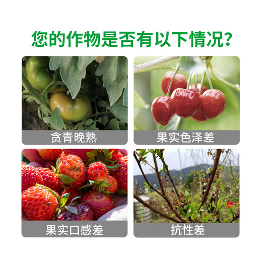 Green Long Glucose Titanium Glucose Peptide Vegetable and Fruit Foliar Fertilizer Water-Soluble Fertilizer Coloring and Sweetness Promotes Growth Organic Water-Soluble Fertilizer 1000g