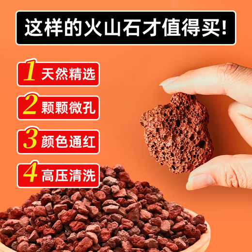 Jinyate red volcanic stone flower fish tank bottom sand succulent orchid Phalaenopsis special paving stone aquarium landscaping 2.5KG