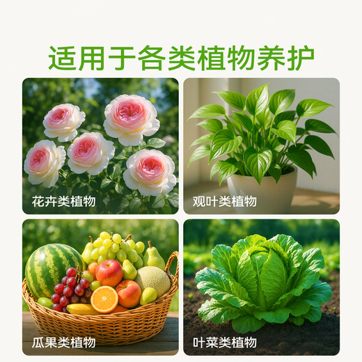Stanley Potassium Dihydrogen Phosphate Flower Fertilizer Potassium Fertilizer Flower Special Aqueous Solution Foliar Fertilizer Agricultural Phosphorus Potash Fertilizer Foliar Fertilizer 2Jin Jin is equal to 0.5 kg