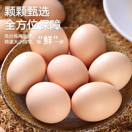 Jingxijia base direct delivery fresh eggs cereal eggs large eggs 50g fresh supermarket breakfast soft-boiled eggs express eggs 50g-30 pieces Jingxijia base direct delivery fresh eggs cereal eggs large eggs 50g fresh supermarket breakfast soft-boiled eggs express eggs 50g-30 pieces