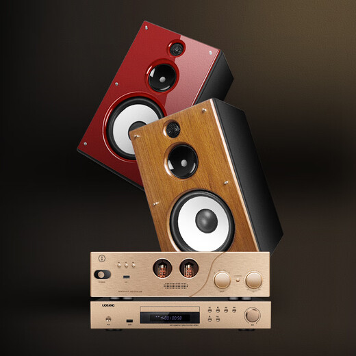 Youtang D398 Fever Grade HiFi Tube-Verstärker-Audio-Set für Electronic Tube Amplifier Haushalte Hochfutterbluetooth CD-Maschine Dreiviertel Frequenz 8-Zoll-Passive Buchhandlungslautsprecher Kombination Audio HiFi Audio-Set (Walnussfarbe) mit CD-Version)
