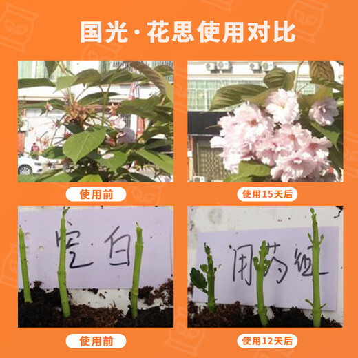 Guoguang Huasi benzylaminopurine cytokinin rose citrus fruit tree flowers and fruit expansion promotes flowering and bursting buds Guoguang Huasi 25 ml * 1 bottle