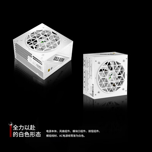 首席玩家（1st player）NGDP金牌 1000W电源（ATX3.0&3.1双规范/MES ID/压纹线/FDB风扇/支持5090/白色）