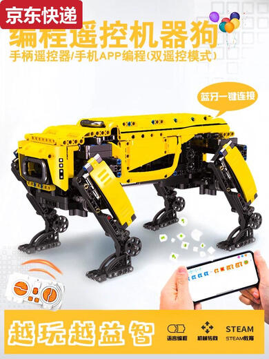 Bloques de construcción de programación para niños Robot Robot Robot Electric Mechanical Dog de 6 a 14 años REZUCHA Juguetes Regalos de cumpleaños New Black Technology Wing Dragon Robot/695