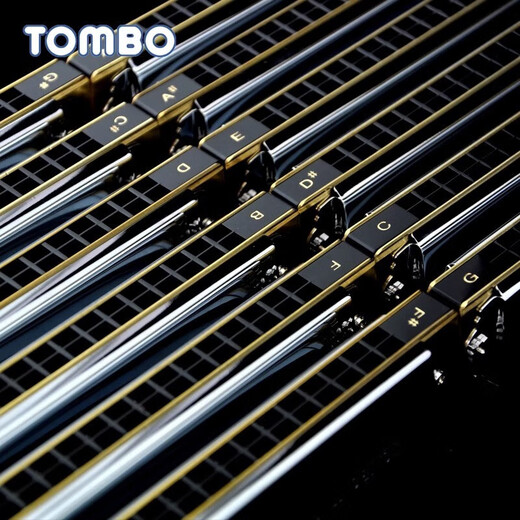 通宝（TOMBO）通宝TOMBO6624s套装12调7调口琴高级成人专业演奏级初学者自学 6624P【演奏级】12调