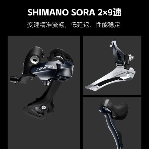 XIDESHENG (XDS) RADING Fahrrad RC618 Aluminiumlegierung Rahmen Sora/Tiagra-Zahnrad-Fasswellenrad Set Schwarz/Dunkelgrau (Sora-Geschwindigkeitsänderung) 700*510 (Höhe 175-185 cm)