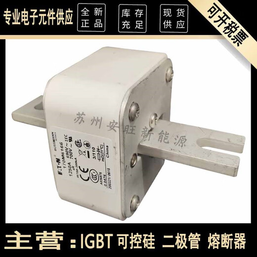 伊顿bussmann巴斯曼170M6166170M6167170M6168170M6169熔断器 更多型号请咨询客服