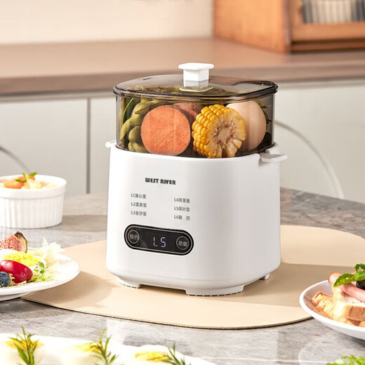 Egg cooker, steamer, electric steamer, small stewing and steaming all-in-one small steamer, omelette pot, small steamed egg artifact, household dormitory electric frying pan, small appliance, small electric cooker, double layer, with steamed egg rack + stainless steel custard bowl, 6 major functions