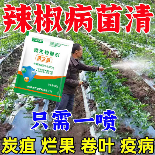 Zhonggu Nongkang (ZGNK) pepper special fungicide, agricultural disinfection and sterilization virus, anthrax disease, rolled leaf dead seedlings, rotten roots and rot fungicides, pepper pathogen cleaner 8 bags, the first choice for large growers