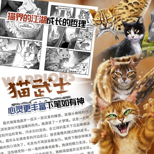 猫武士八部曲5 风霜蔽目 儿童动物小说中小学生课外阅读书必读猫武士系列原版成长动物小说故事书