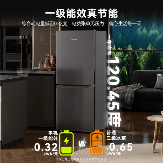 Royalstar 166 liter small refrigerator small home rental room office dormitory double door two door double door two door refrigerator energy saving power saving bass titanium dark gray R166