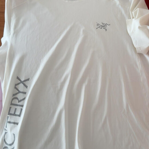 Archaeopteryx (Arc'teryx) Norvan Downword-Logo Leicht atmungsaktives, schnell getrocknetes kurzärmeliges T-Shirt-T-Shirt-Kurzärmel-Schwarz x9720 m