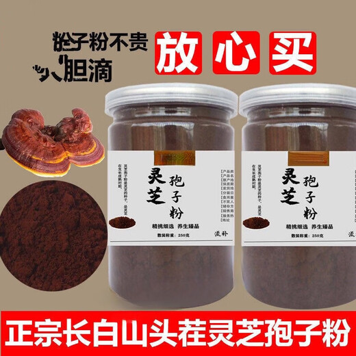 Fangshanguan Rohstoffpulver Kopfbrückungswand Ganoderma lucidum pulversporenpulver authentisch sporenpulver ganoderma lucidum spore powder