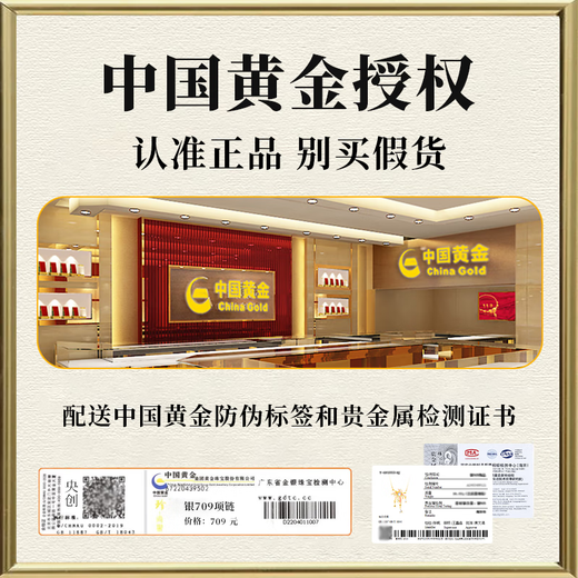 Central Chuang Fashion Chinese Gold and Silver Necklace Women's Light Luxury Niche Girl Birthday Gift for Girlfriend, Wife and Best Friend S925