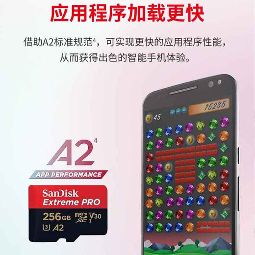 闪迪SanDisk闪迪存储卡TF手机卡高速记录仪大疆无人机gopro推荐内存卡4K视频拍摄单反无人机闪存卡 256G高速TF卡