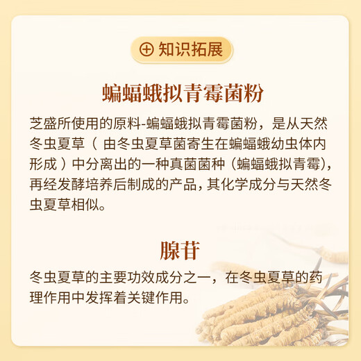 仙芝楼芝盛胶囊 增强免疫力 缓解疲劳 破壁灵芝孢子粉胶囊灵芝虫草精华 1盒 30g 【体验尝鲜】
