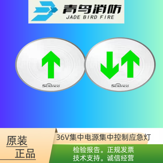 Jade Bird fire emergency light evacuation sign power box underground light 36V centralized power supply quotation 250W power box