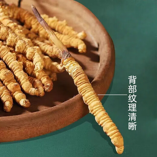 Новая сушящая подарочная подарочная коробка Cordyceps от Kangsil Authentic Dired Cordycess, чтобы подарить подарки для питания и питания качества отбора Cordyceps для старейшин Tibet Nagqu Cordyceps около 3 корней/грамм 40 корней (подарочная коробка)