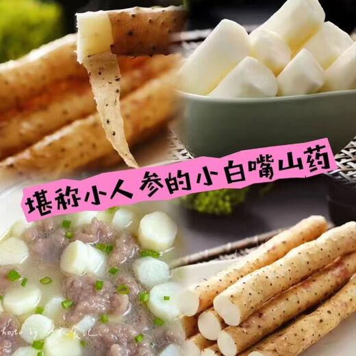 Yam Xiaobaizui Yam Sesame Yam Iron Stick Yam Powder Glutinous Children's Food Supplement Health Food Fresh Vegetables Xiaobaizui Yam 1Jin Jin equals 0.5kg (10cm-20cm)