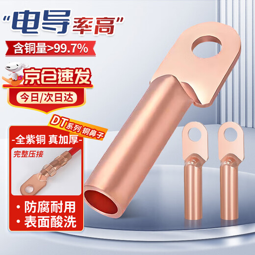 铸固 铜鼻子 线鼻子16平方DT冷压接线端子铜线耳接线电缆接线头 DT-16mm²（10只装）
