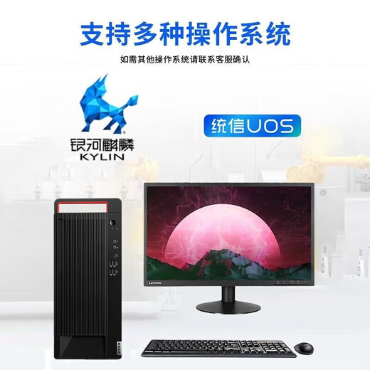联想（Lenovo）长风宗卫M740J国产信创台式机电脑自主可控支持DeepSeek小模型服务器主机 飞腾FT-D3000 麒麟GF版三年+WPS+OFD+杀毒 64G内存丨1T固态+4T丨2G独显