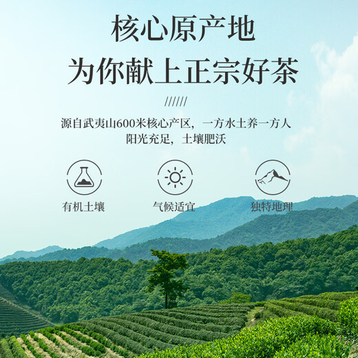 一杯香乌龙茶武夷山正岩大红袍兰花香一级250g礼盒装茶叶自己喝散装送礼
