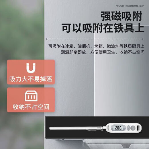 德力西电气电气食品温度计测水温油温测温计高精度婴儿冲奶粉食品级 时尚白 DM-1048 充电/背光款