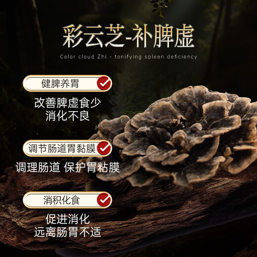 
WILAKON/Weilekang Blambi Ganoderma Spore Powder Capsules Enhance Immunity Postoperative Radiation and Chemotherapy for Middle-aged and Elderly Nutritional Products 360 Tablets/Box