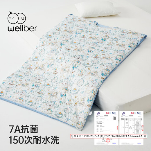 WELLBER Children's Anti-Kick Quilt for Big Children, Mulberry Silk Sleeping Bag for Baby, Autumn and Winter Thick Dreamland 100*160cm